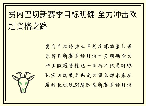 费内巴切新赛季目标明确 全力冲击欧冠资格之路