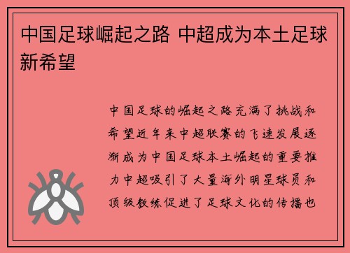中国足球崛起之路 中超成为本土足球新希望
